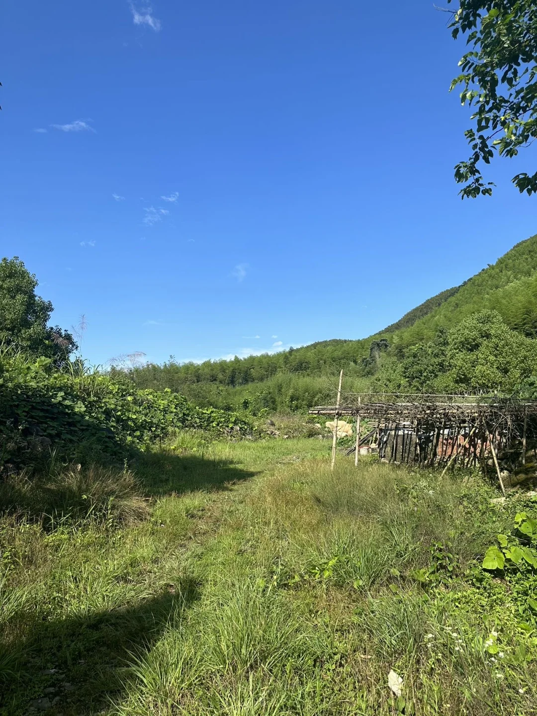 2025年11月11日309土地（钓鱼种植养殖露营