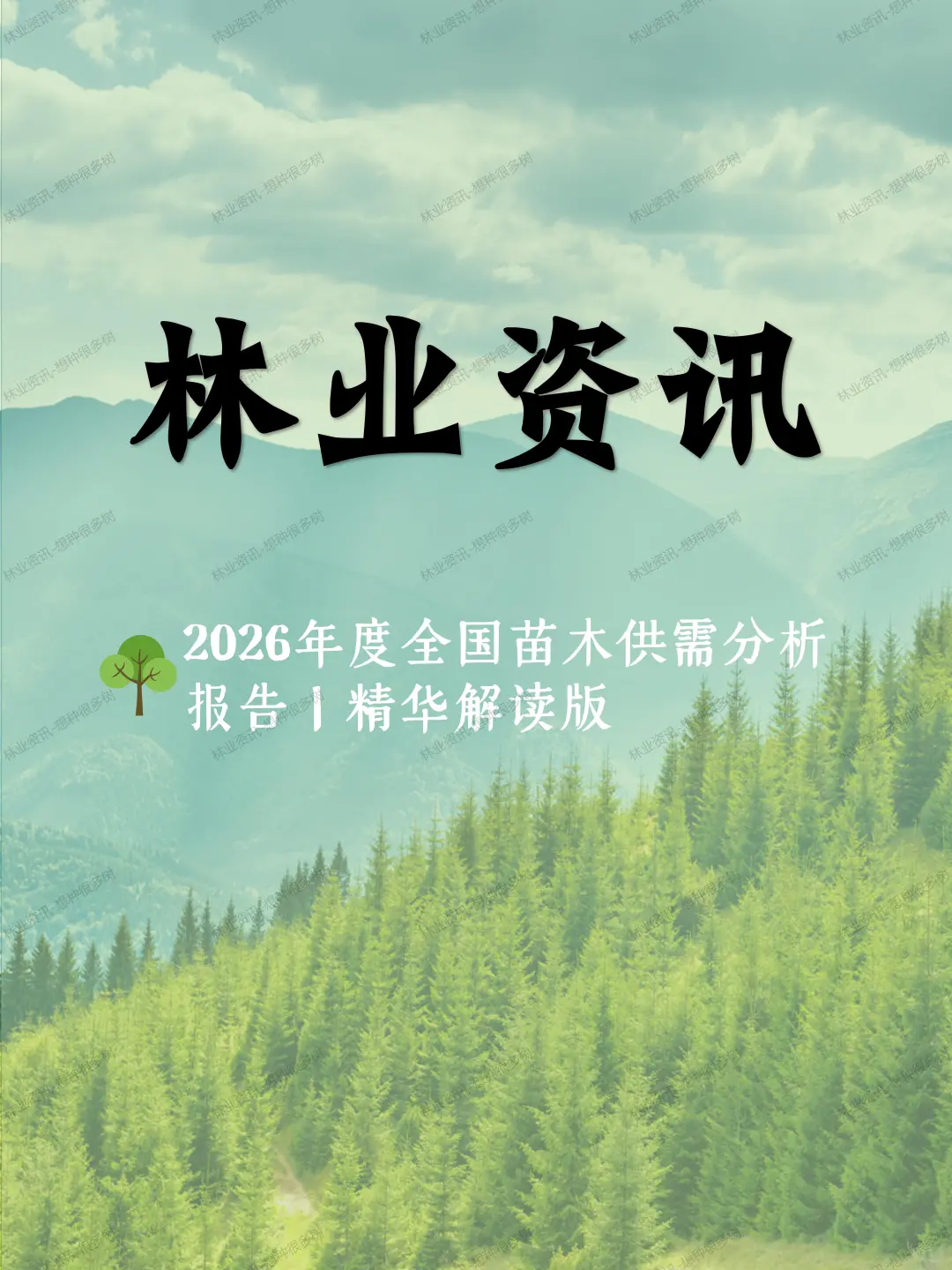 林业资讯｜2026年度苗木供需分析报告发布