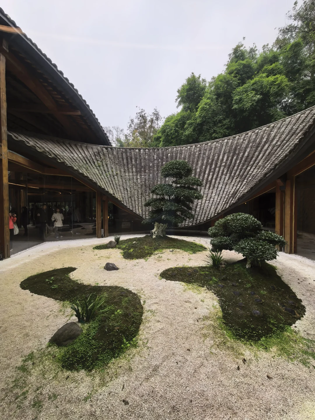 再次感受成都美丽乡村后有感