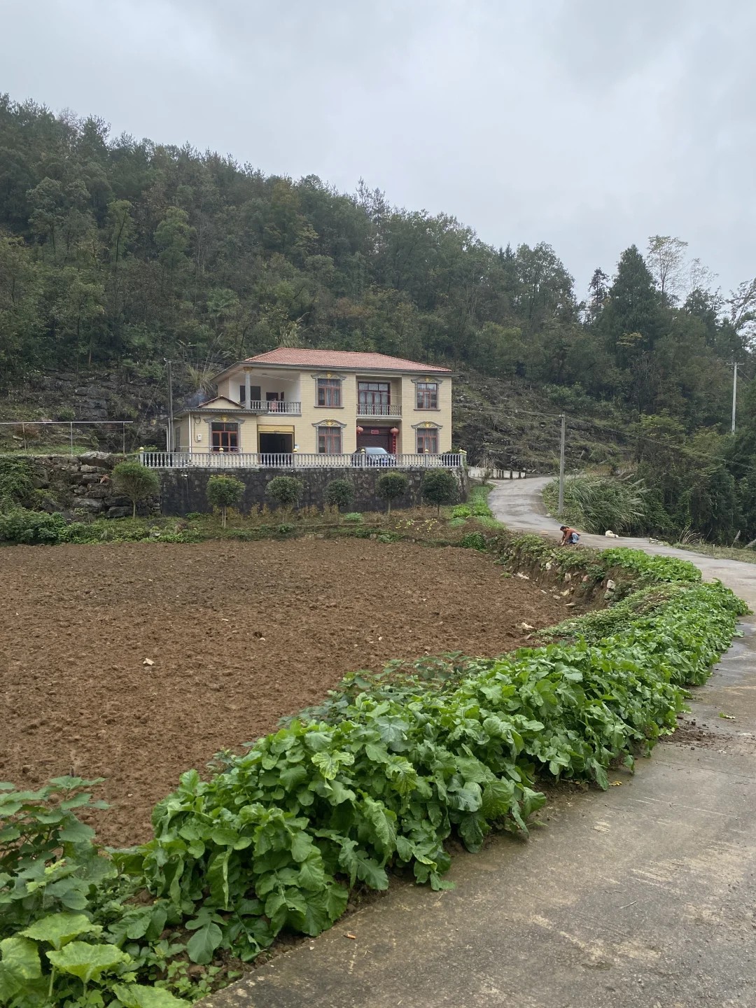 60多万的农村自建房，能自己种菜就值30万