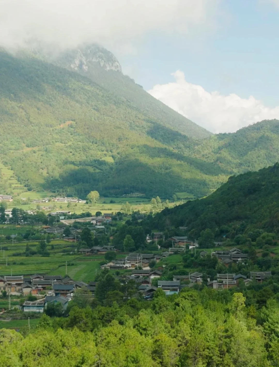 ♻️乡村文旅＋“疗愈经济”助力乡村振兴