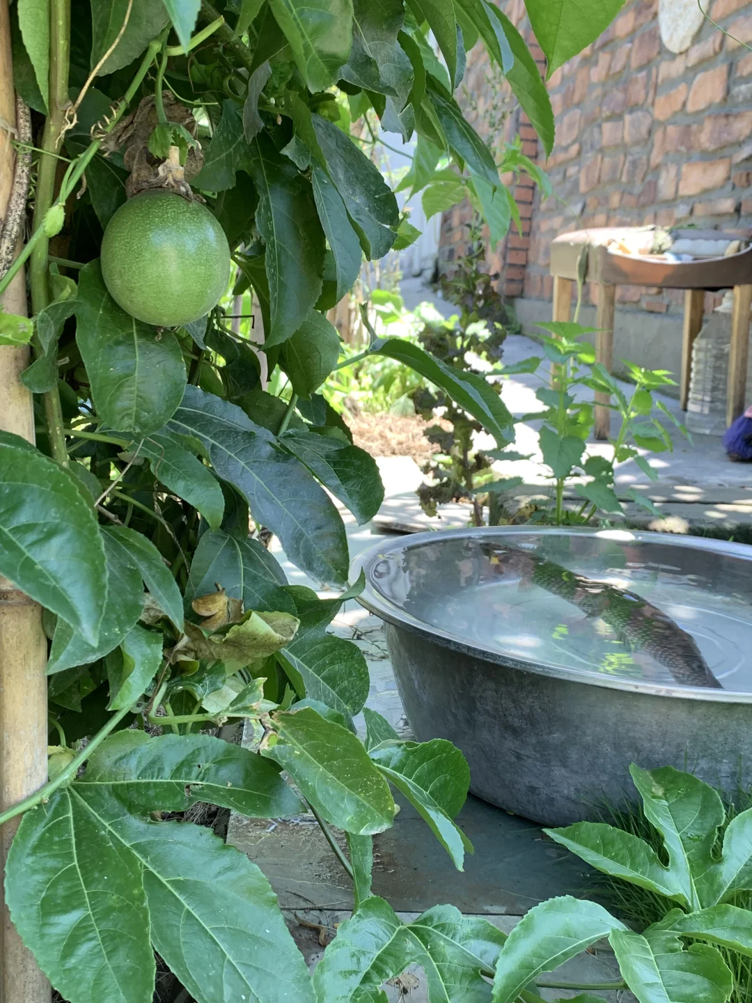 不懂流量，别在农村开民宿，否则只有血亏