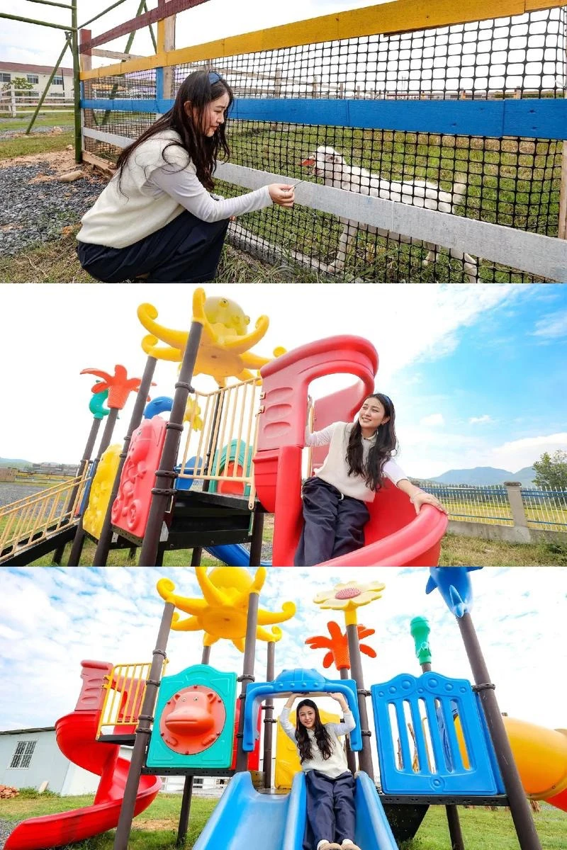 文旅策划,为乡村旅游“造血”
