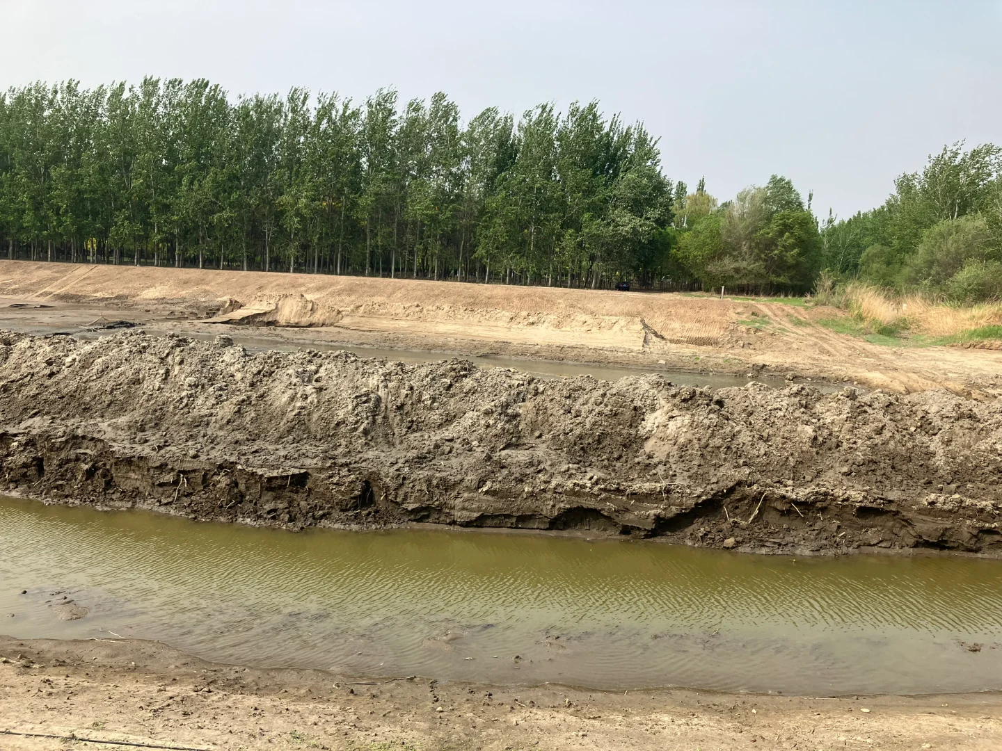 武清，北运河清淤，有人用金属探测器找东西