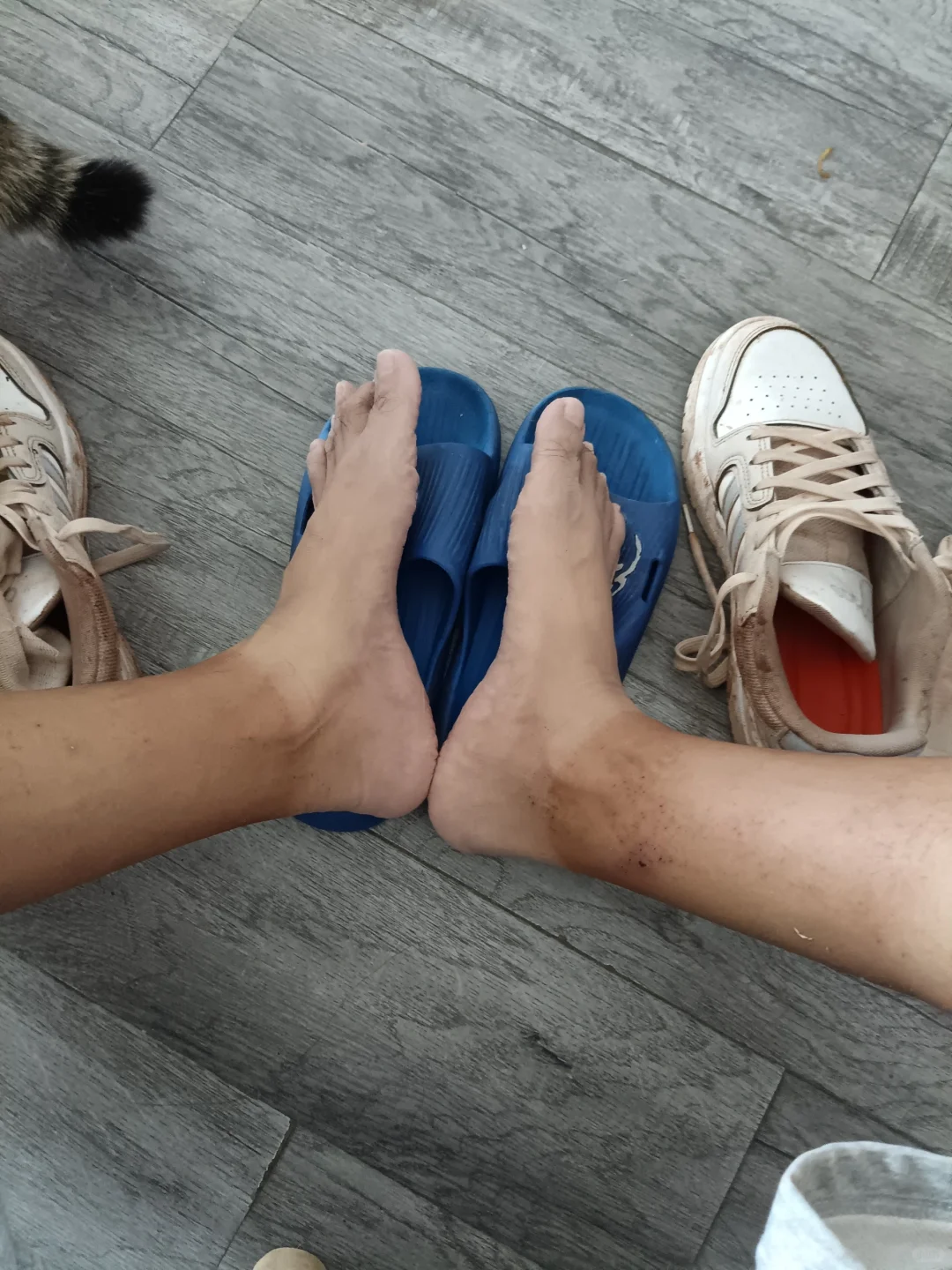 辞职回村创业建大棚，终于要搭建完成啦