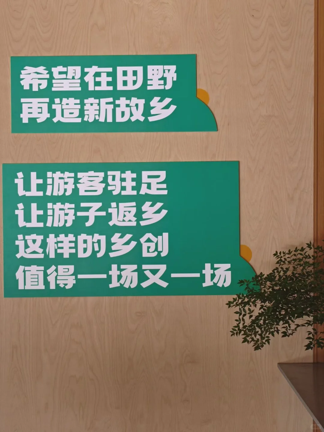 ❗️不要咬文嚼字嘛!乡村文旅社造是啥?