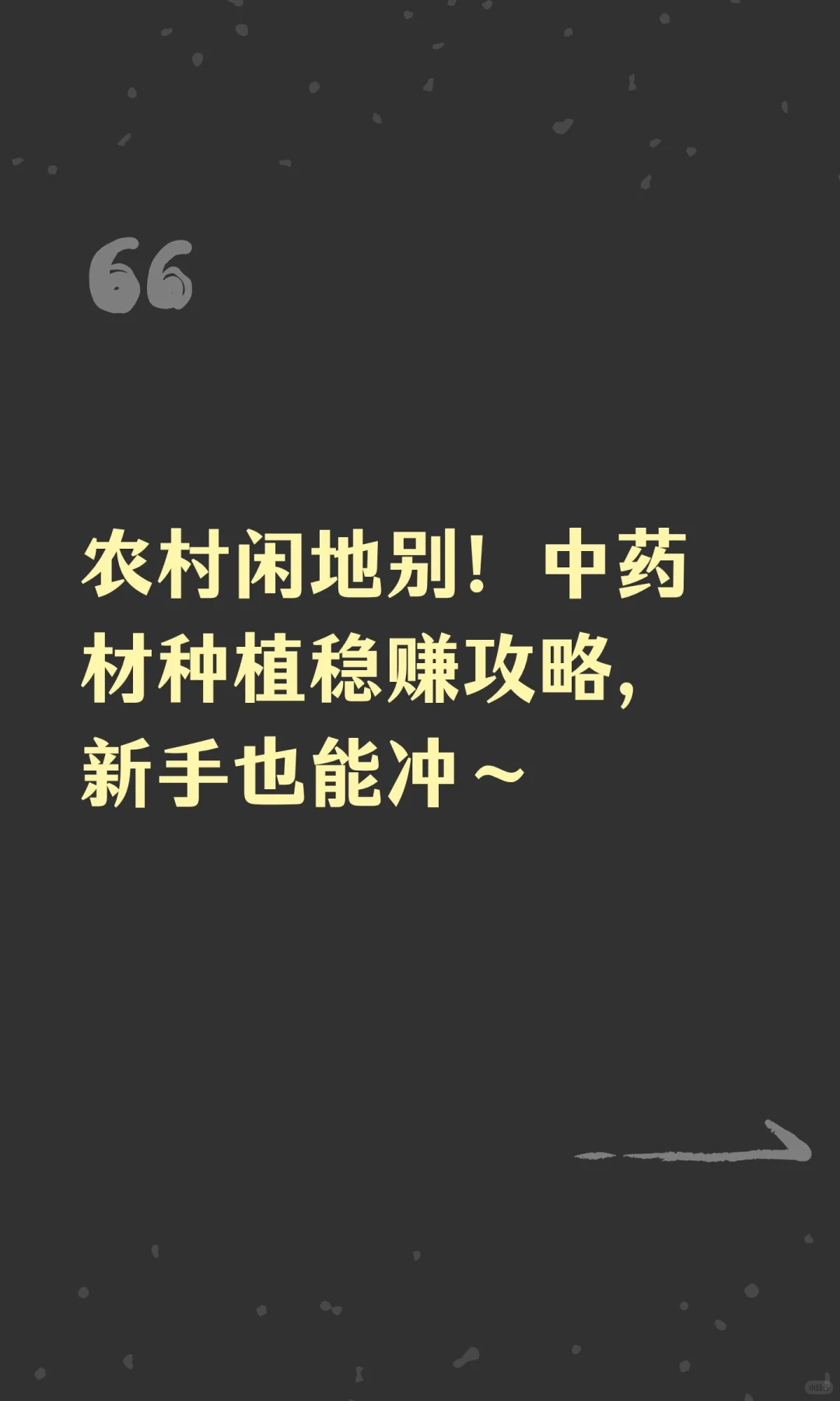 农村闲地别！中药材种植稳赚攻略，新手也能