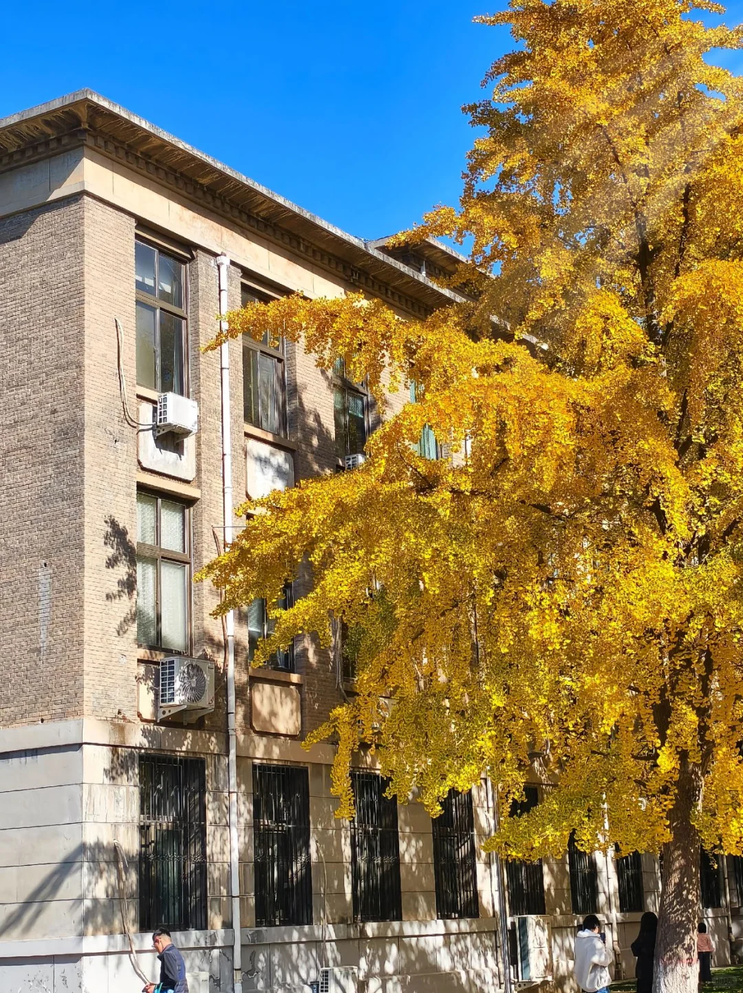 今年河南师范大学是疯了吗？？？