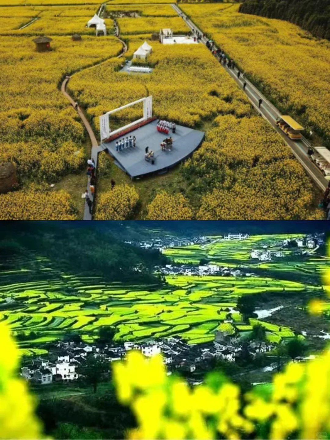 干货分享 | 做到这5点,乡村旅游项目可破局