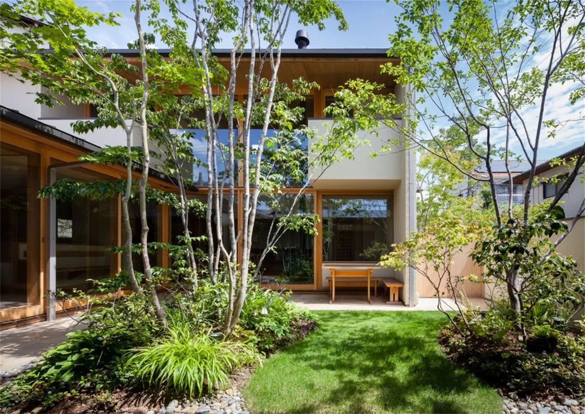 杂木庭院苗木选型纪要 | 柔美 飘逸 清雅