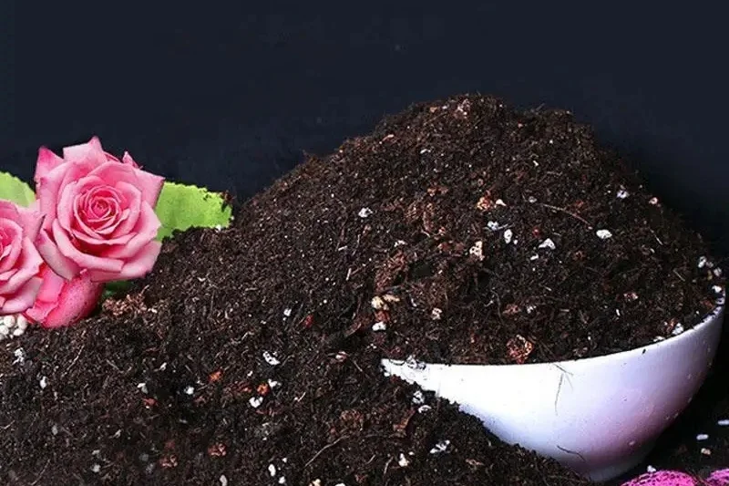 一台机器，有人一年挣几十万！