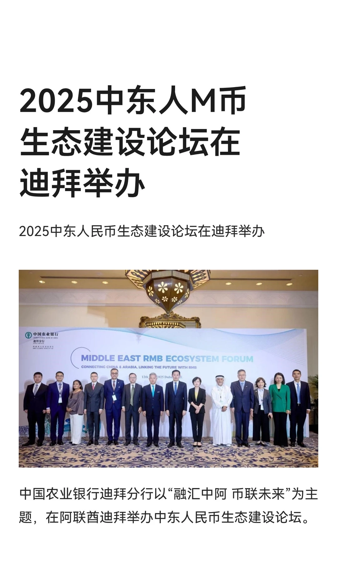 2025中东人M币生态建设论坛在迪拜举办