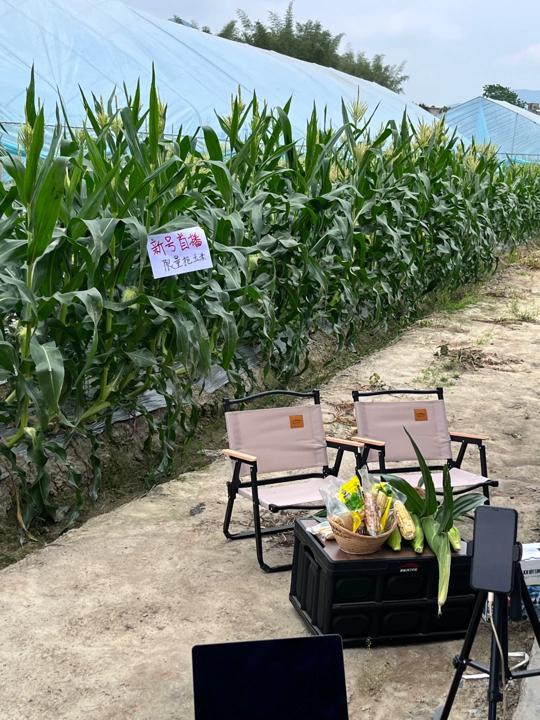 ? 新农人的田园生活，竟然这么治愈！✨