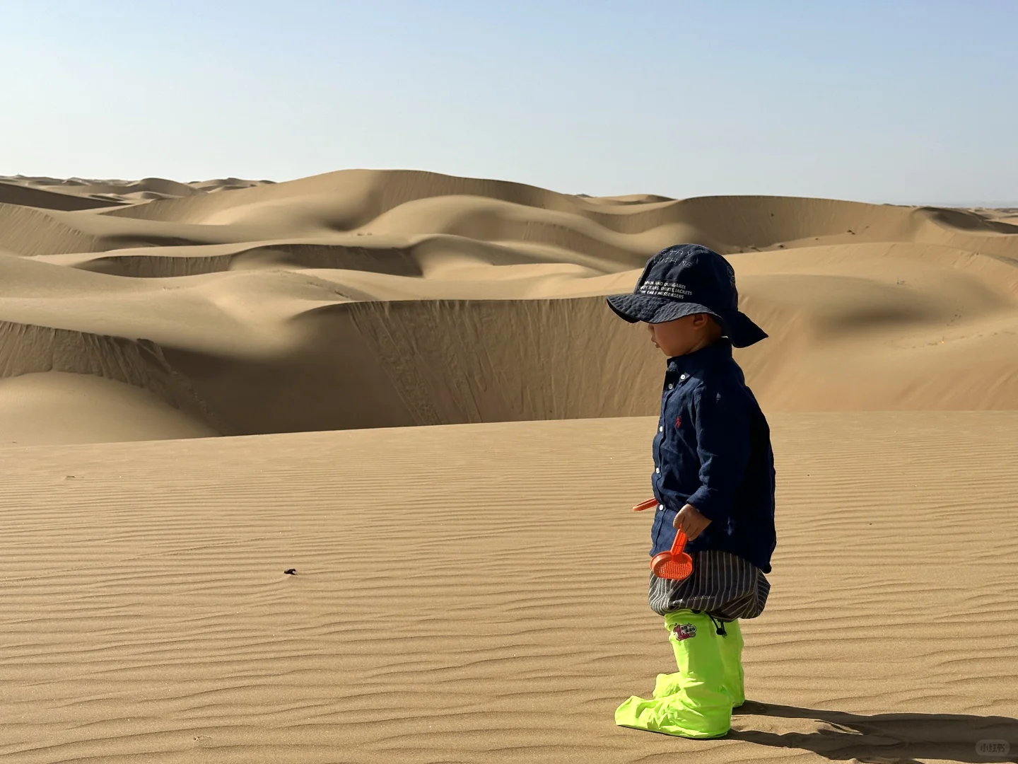 沙漠手机失而复得