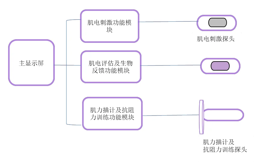 金职伟业：盆底全能修复仪|赛项指定产品