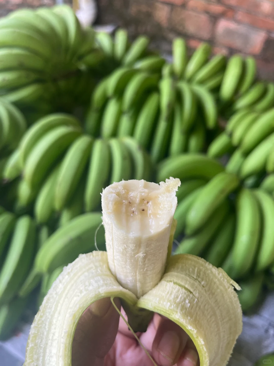 每天都有干不完的农活和吃不完的水果和蔬菜