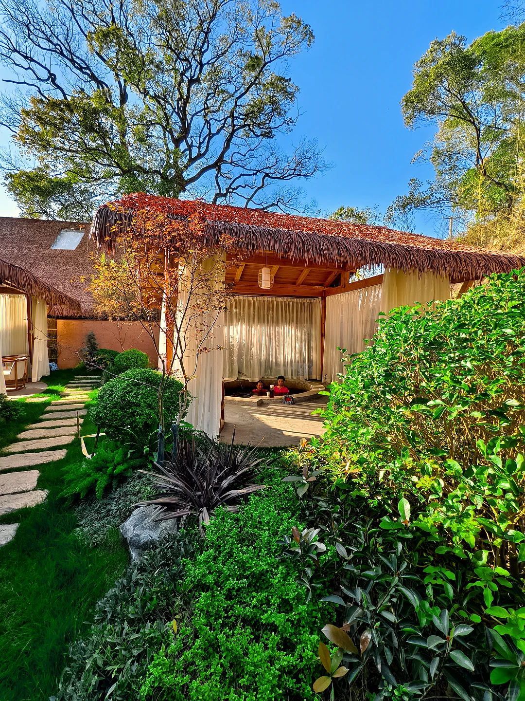 花掉够我躺平的钱在农村建民宿