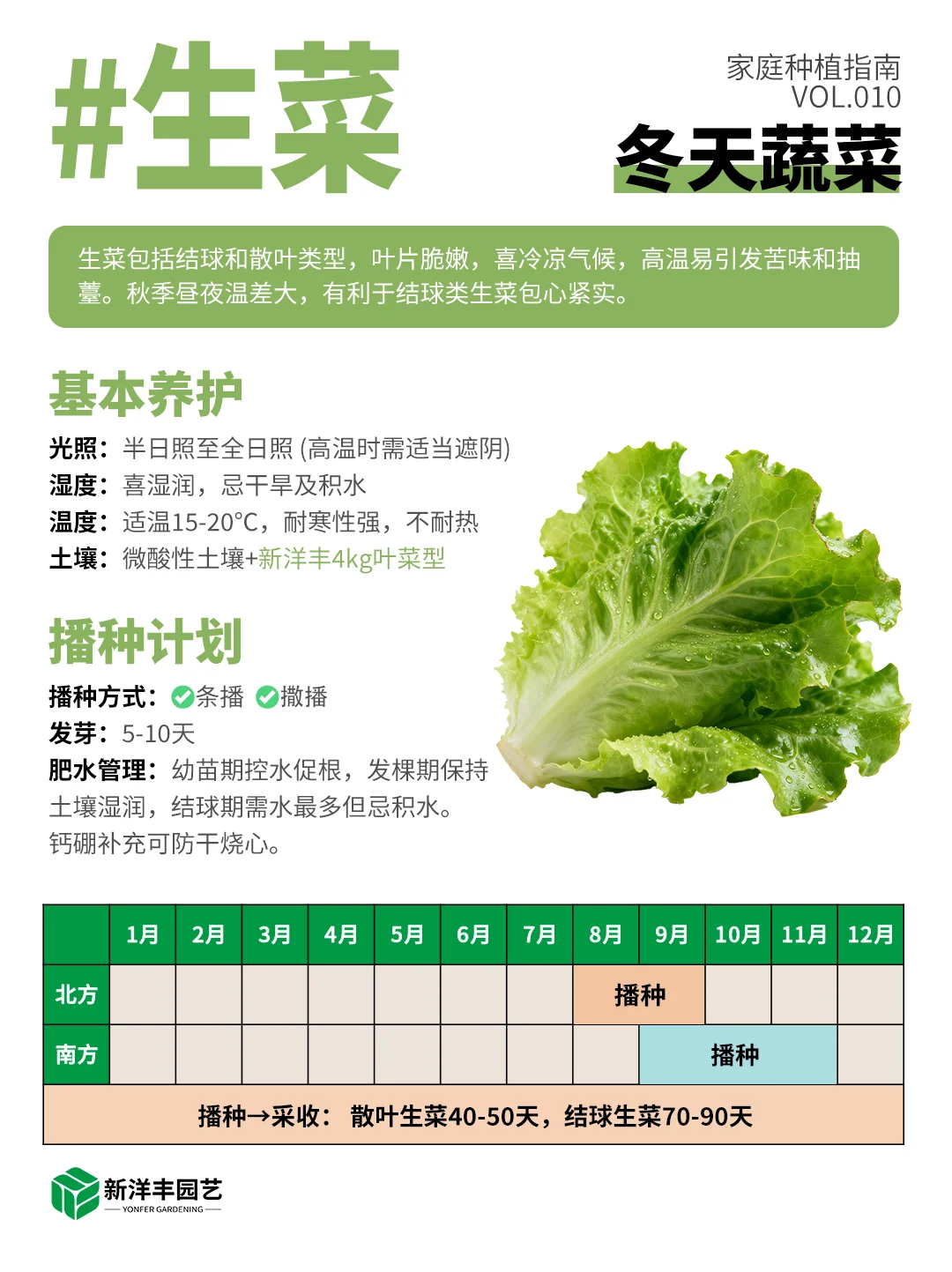 冬天种什么蔬菜？都给你整理好了