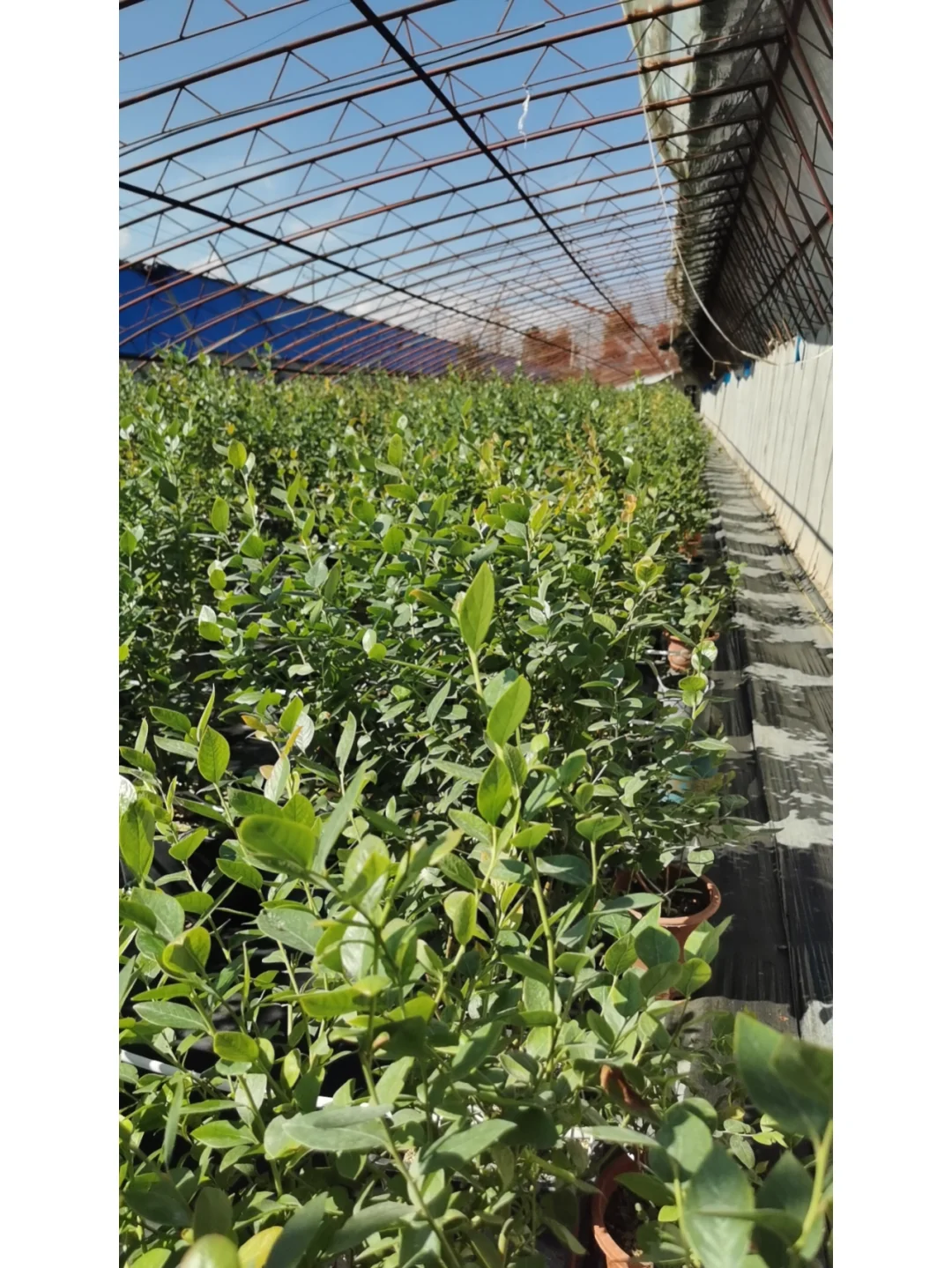 听我一句劝，创业的兄弟们千万别进农业的坑