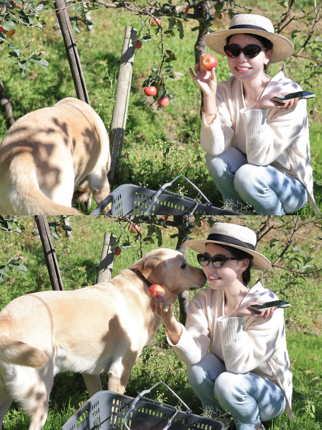 一辈子都是三农人