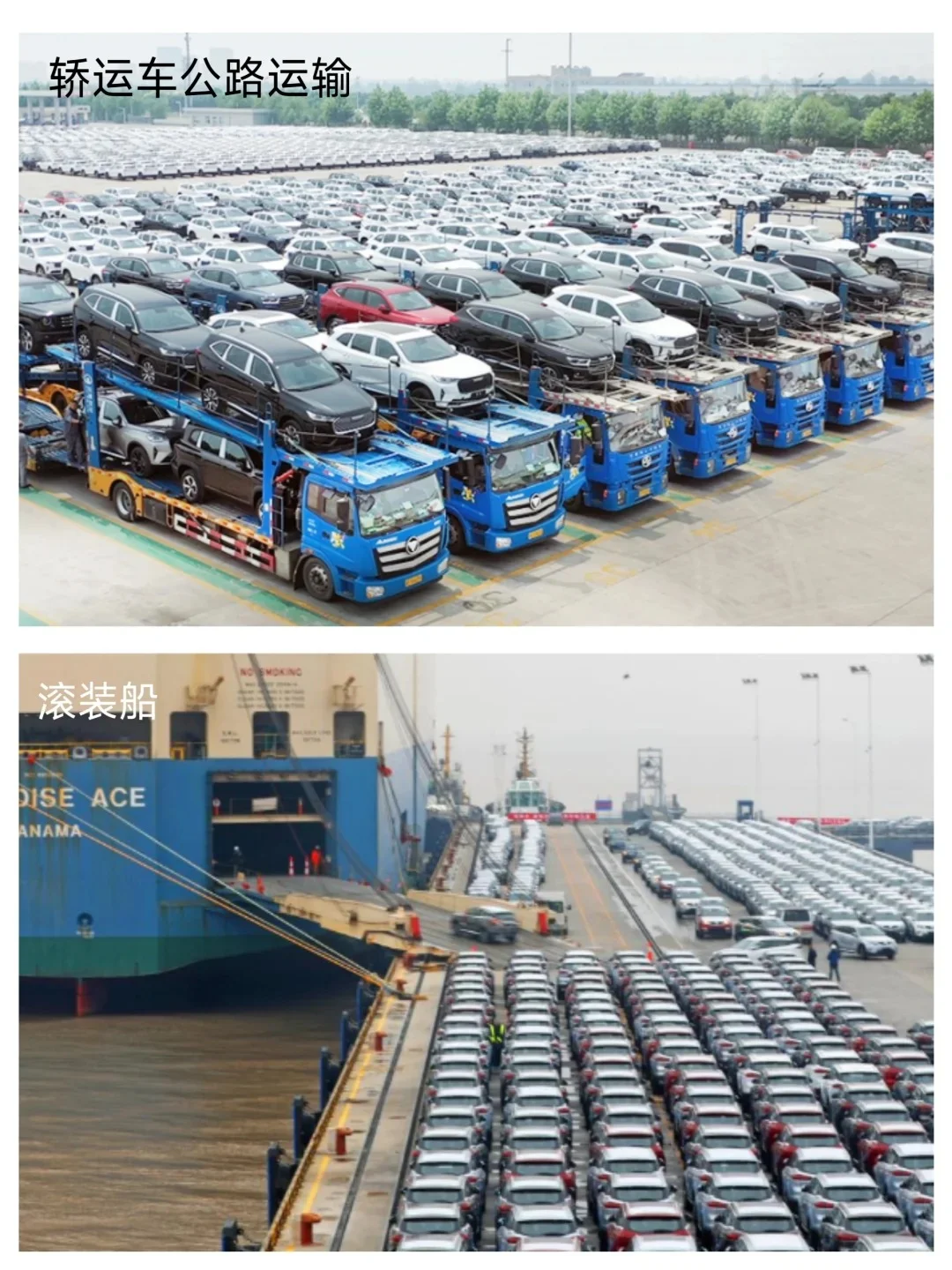 ?整车物流大揭秘！货主必看！