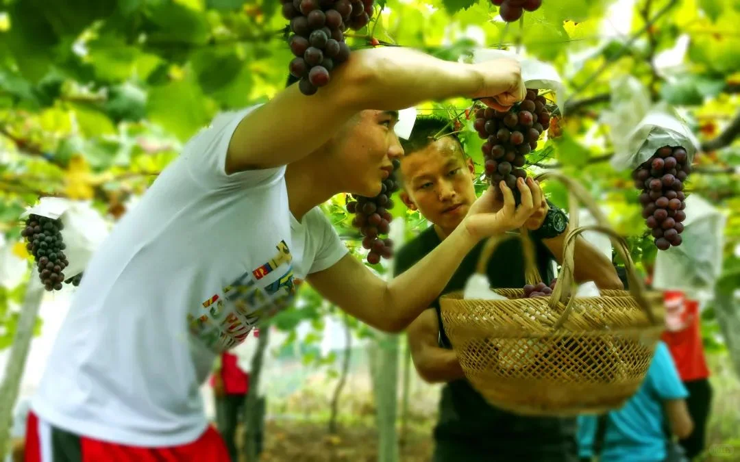 2025这个秋天，在镇江开启美食之旅→