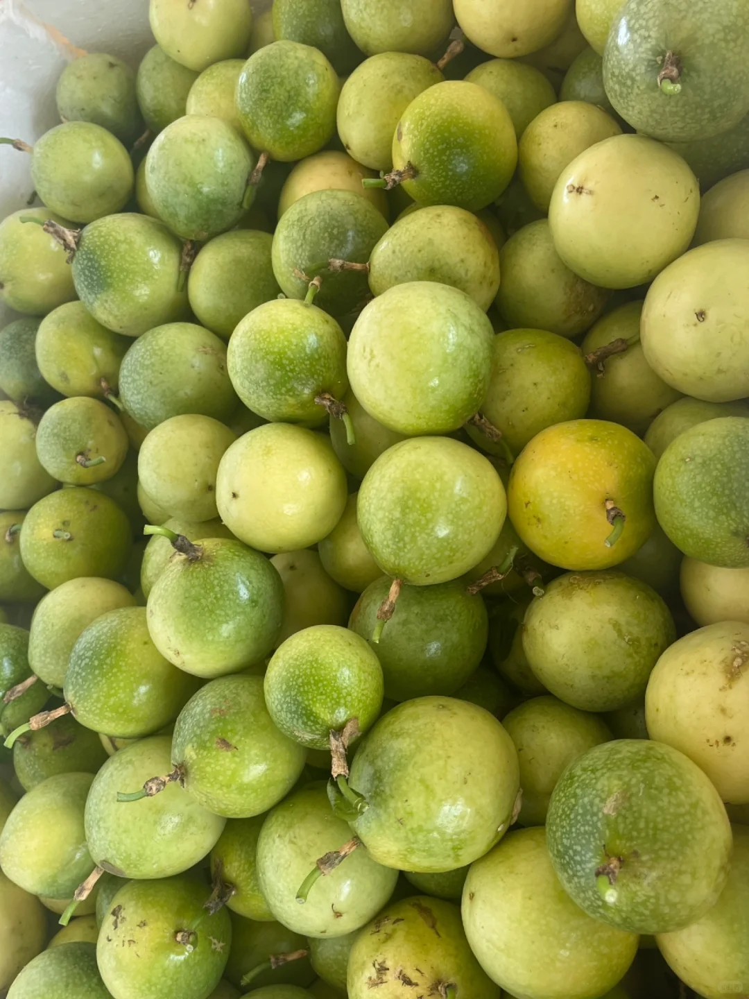 每天都有干不完的农活和吃不完的水果和蔬菜