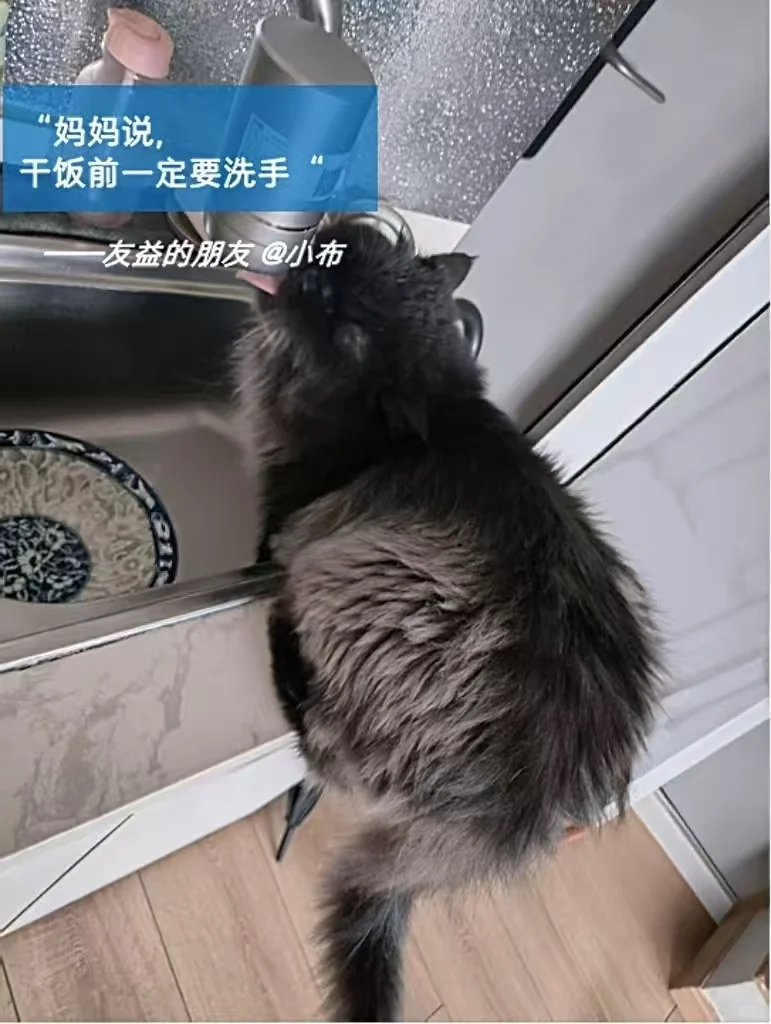 发个朋友圈！快来进博会和我们偶遇吧！