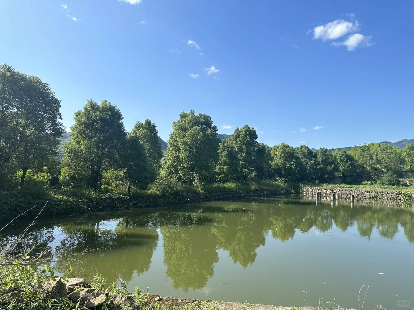 2025年11月11日309土地（钓鱼种植养殖露营