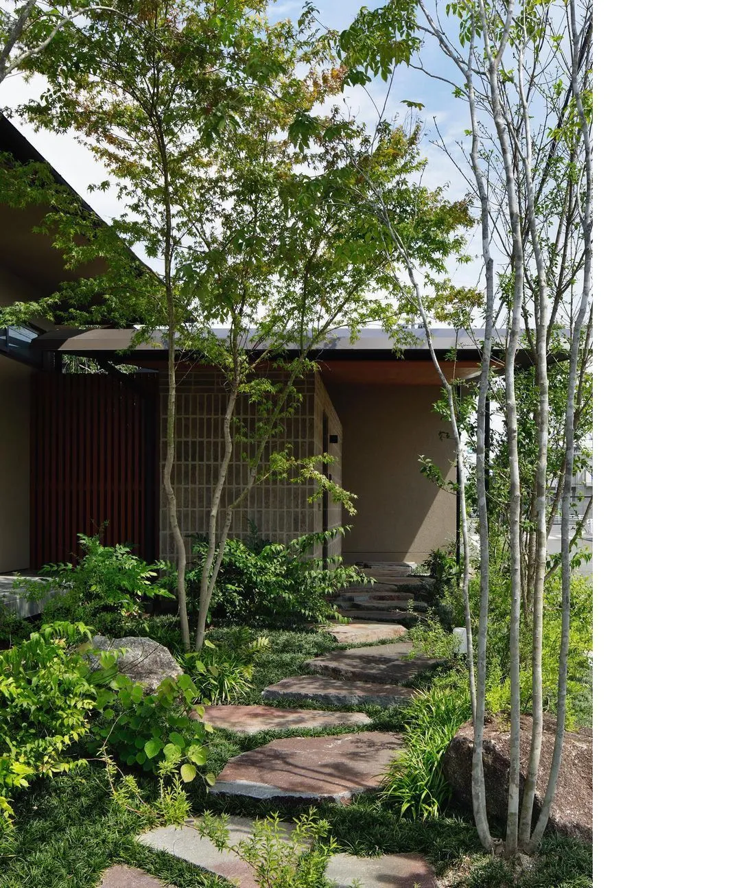 杂木庭院苗木选型纪要 | 柔美 飘逸 清雅