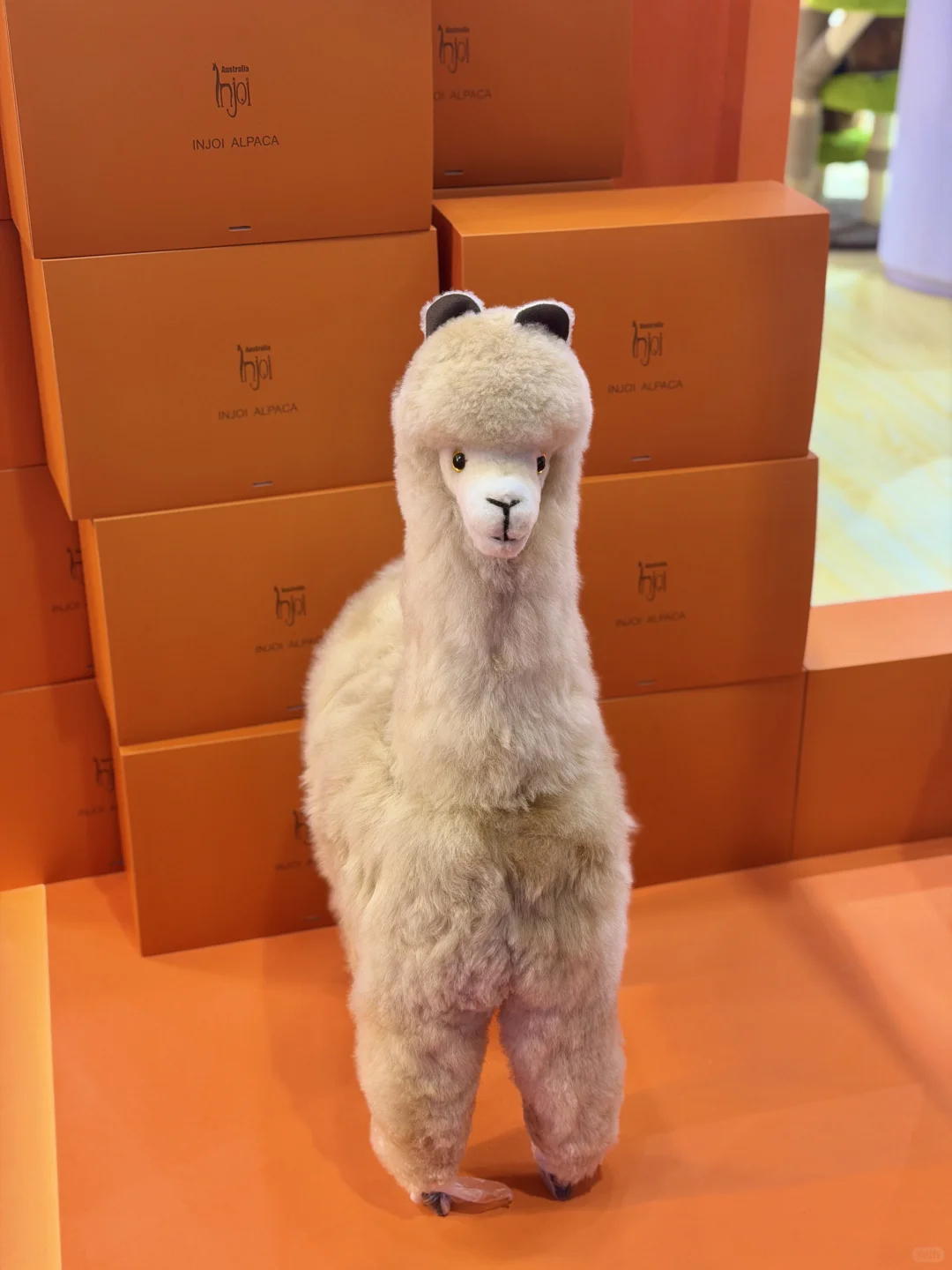 上海｜CIIE 2025 in my vision