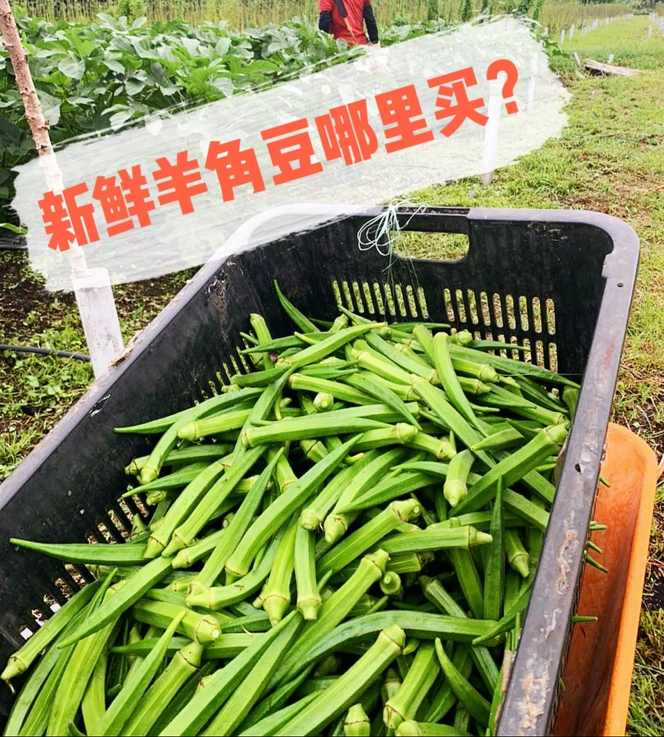 价钱不好我们还是坚持的种?‍?