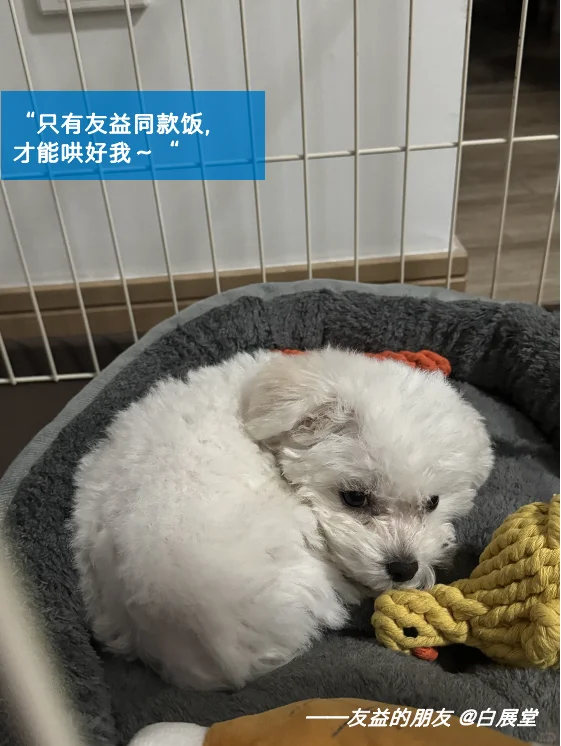 发个朋友圈！快来进博会和我们偶遇吧！