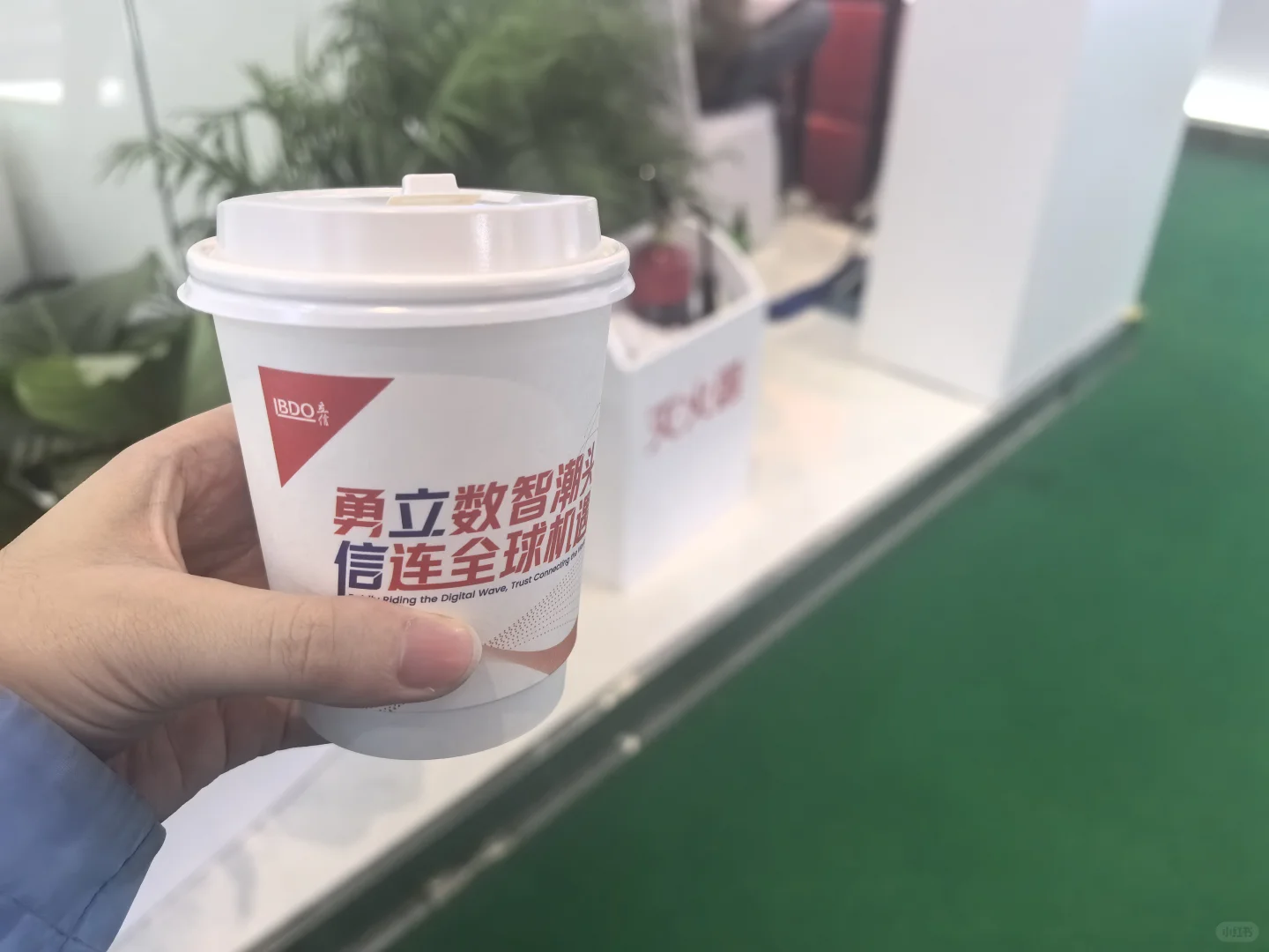 进博会老叶子的逛展攻略来了——