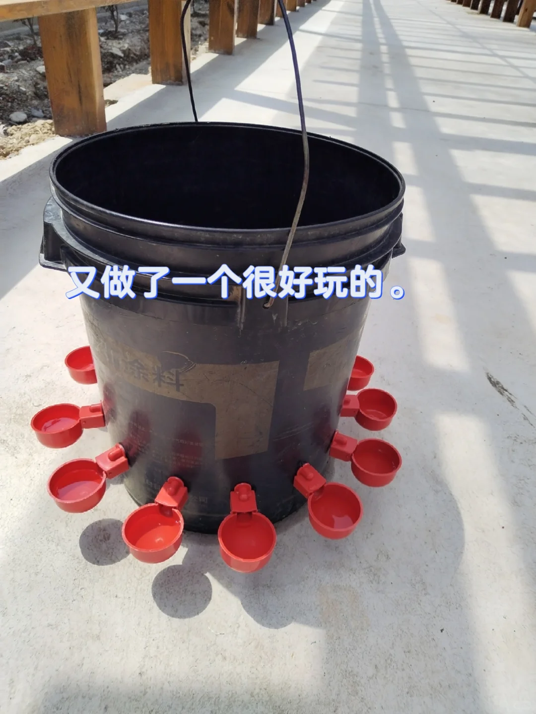 中年少女跨行农业种植基地工作第二十天