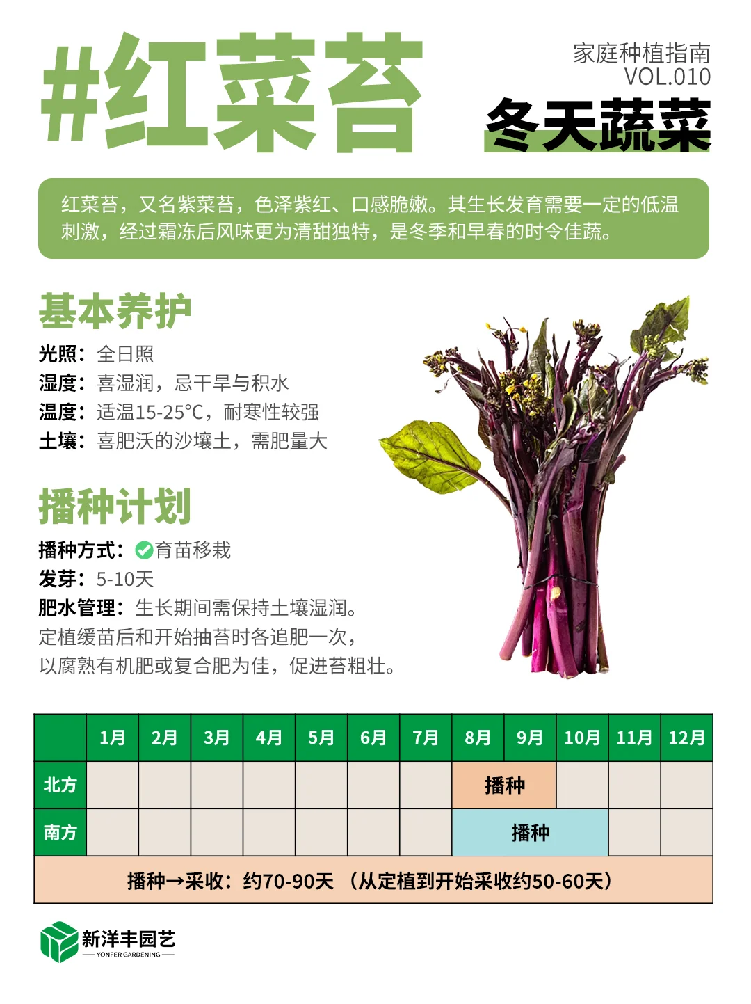 冬天种什么蔬菜？都给你整理好了