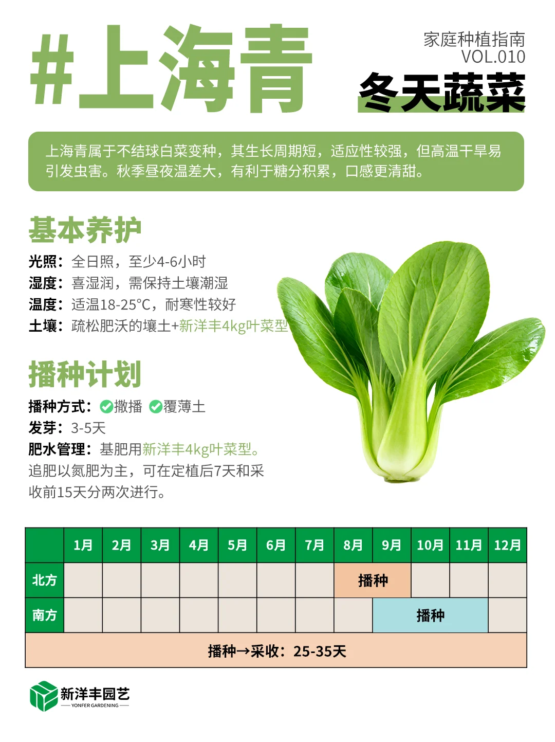 冬天种什么蔬菜？都给你整理好了