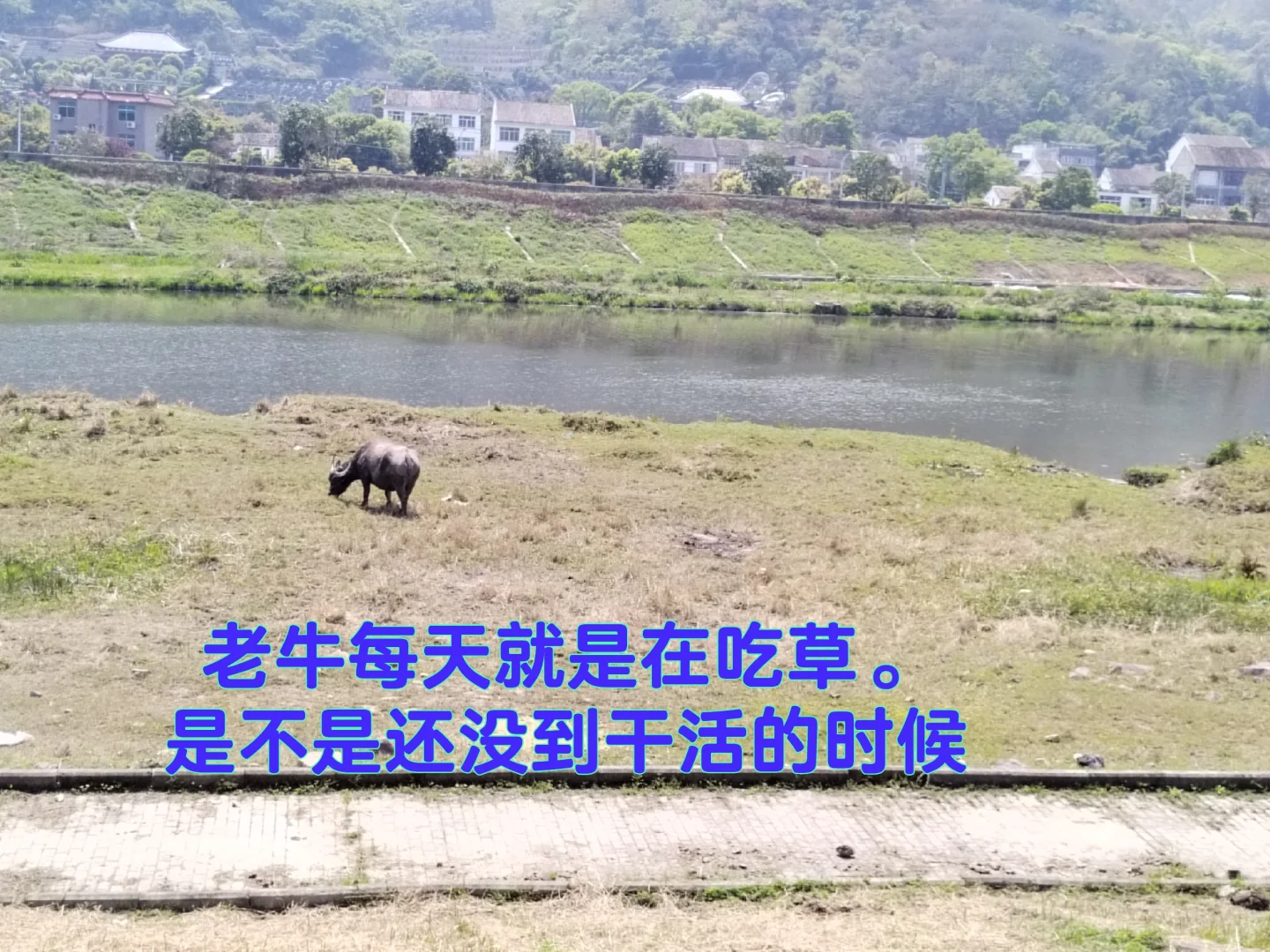 中年少女跨行农业种植基地工作第二十天