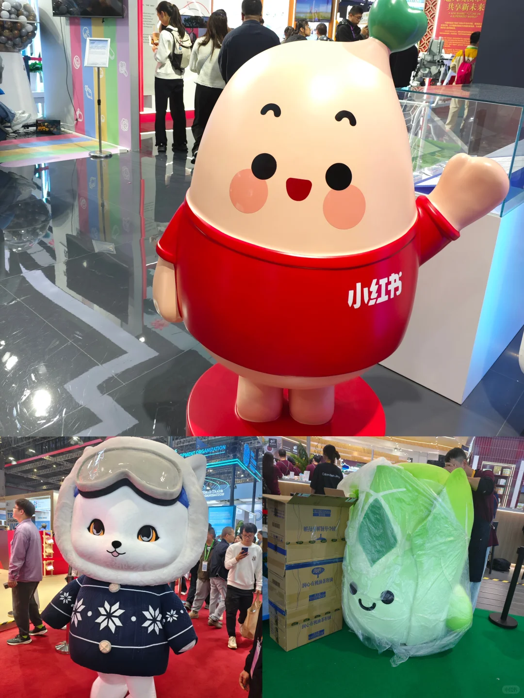 11.8进博会观展交作业啦！