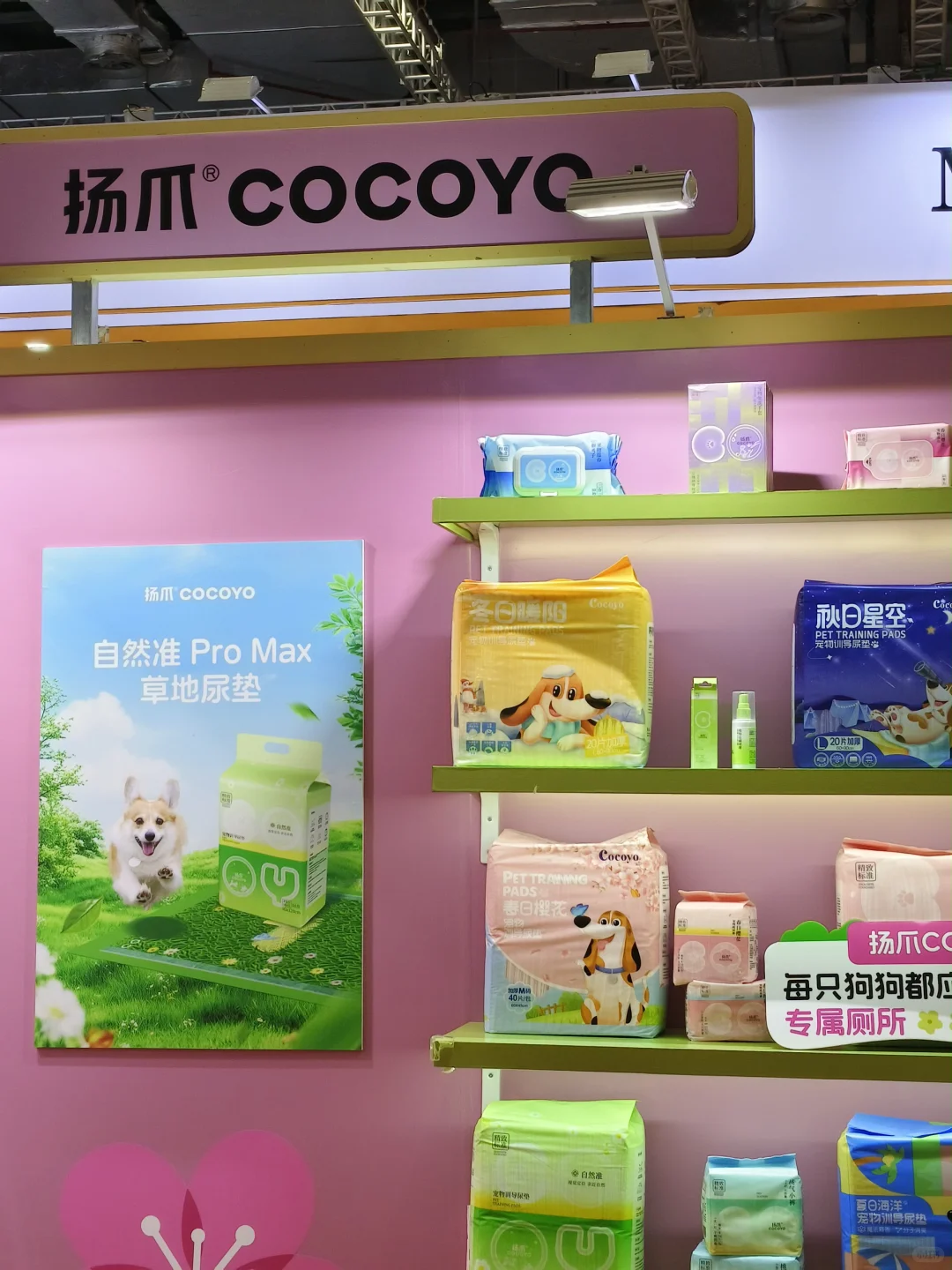 进博会挖宝?‍⬛萌爪航站楼萌到我走不动道