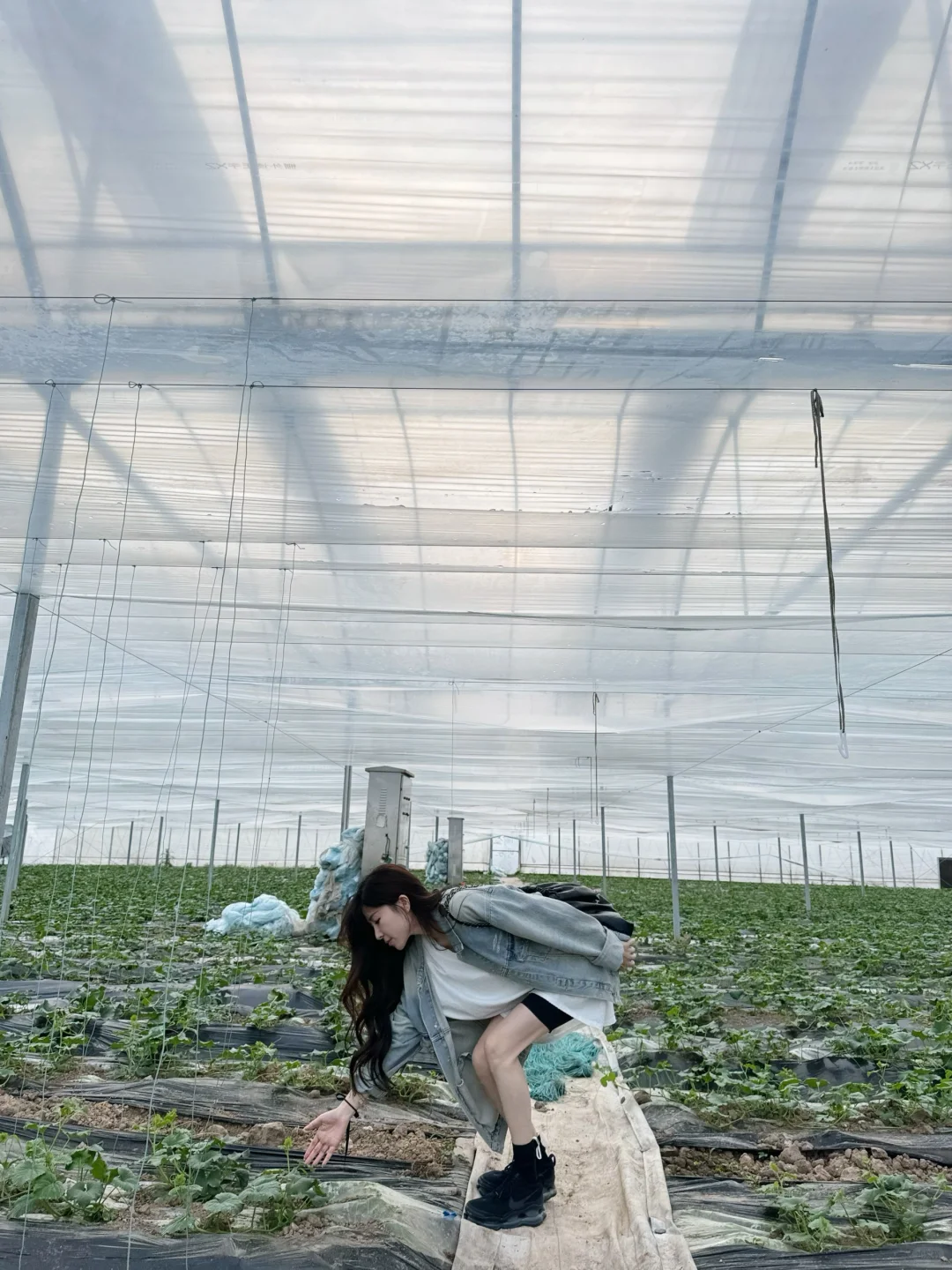 大家好 欢迎来到我家的大棚