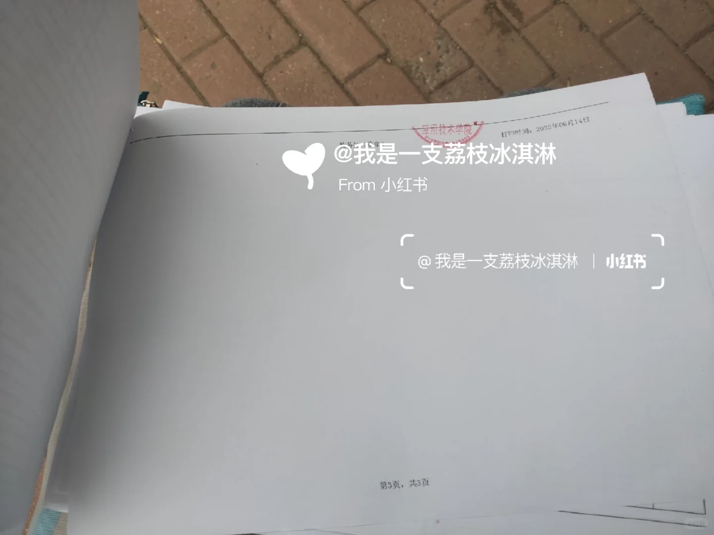 这样的成绩单考公二战考研考编留学可以吗