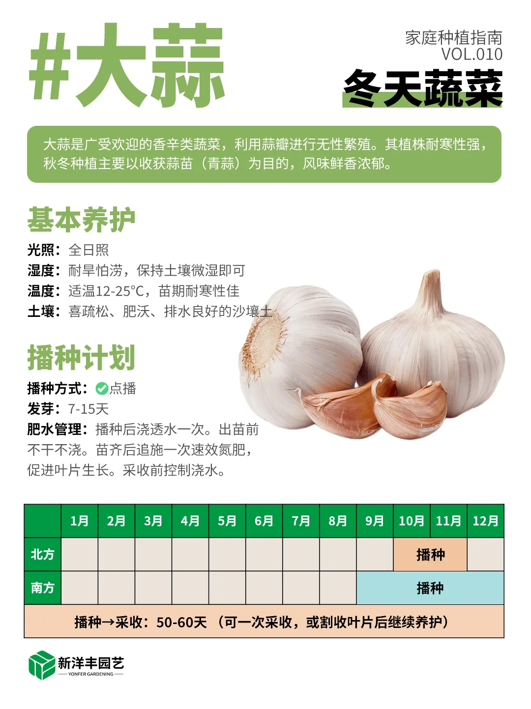 冬天种什么蔬菜？都给你整理好了