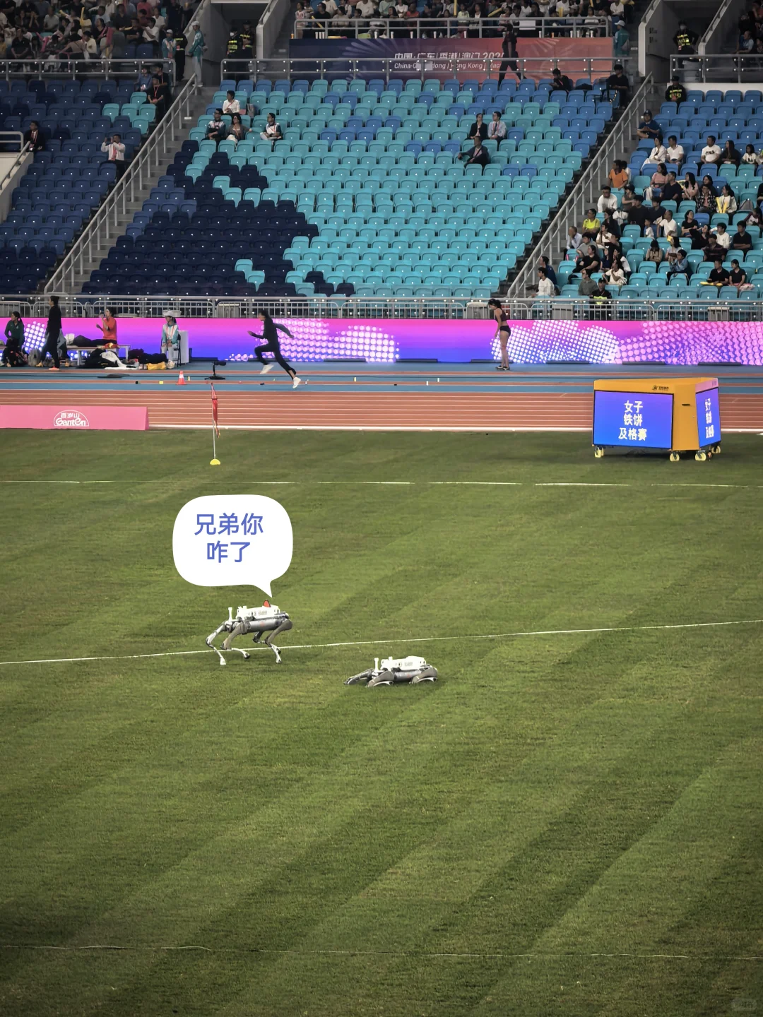 科技感！机器狗助力全运会！