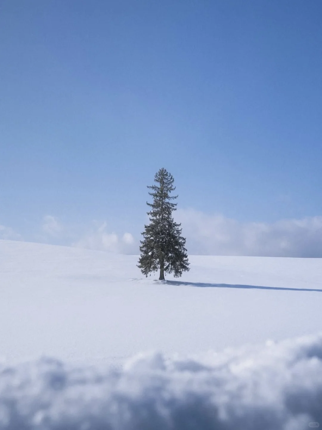 日本北海道包车现状！现在都这样了吗？