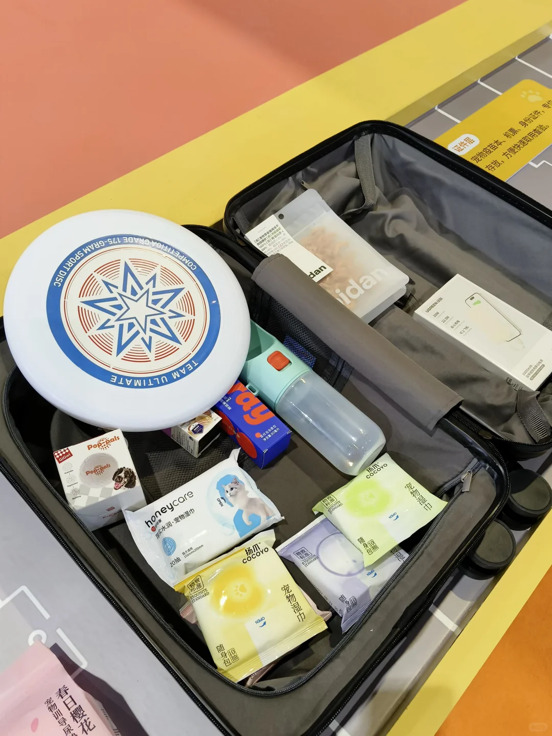 进博会挖宝?‍⬛萌爪航站楼萌到我走不动道