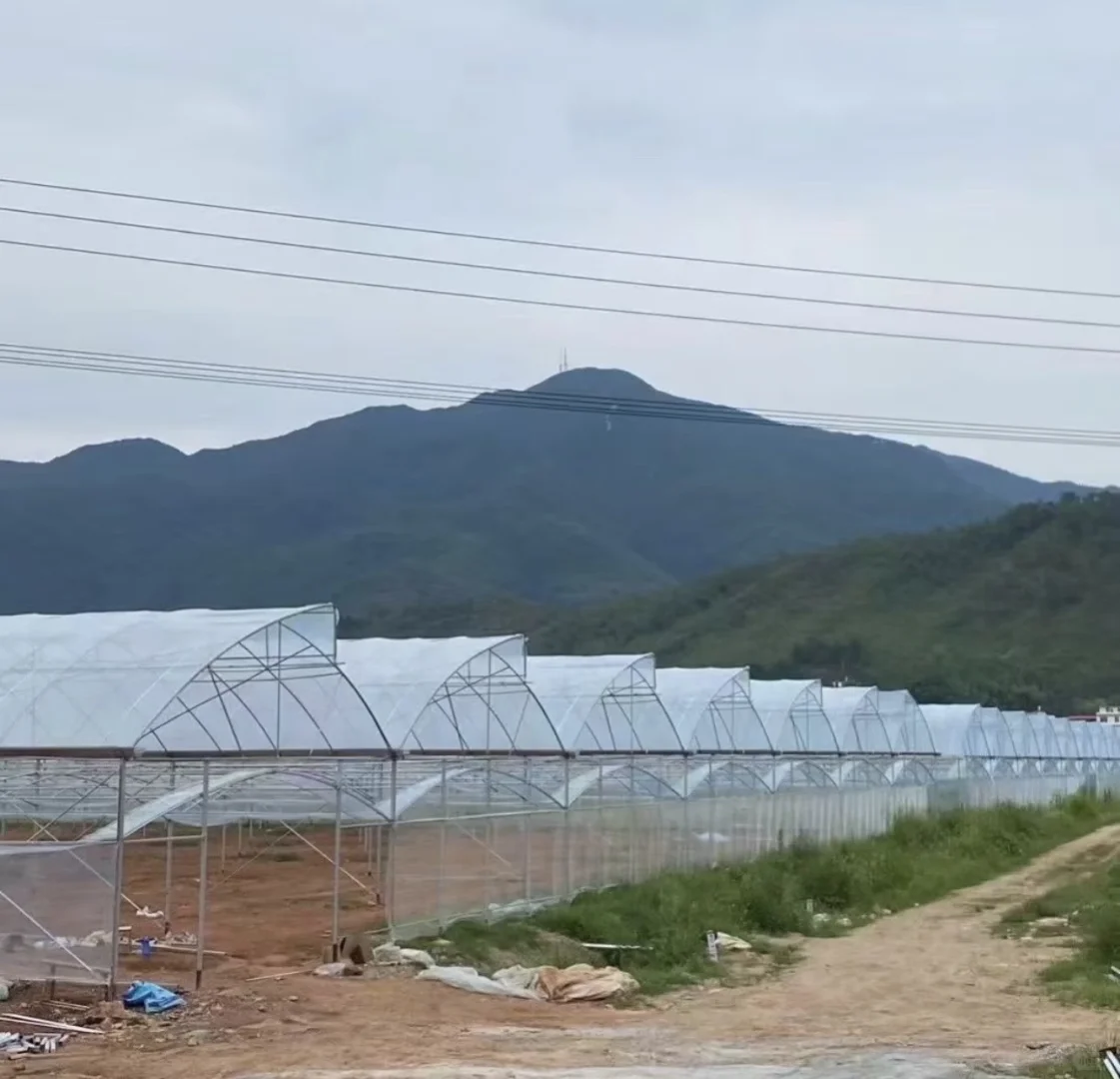 解锁农业种植新可能，赋能产业高效升级