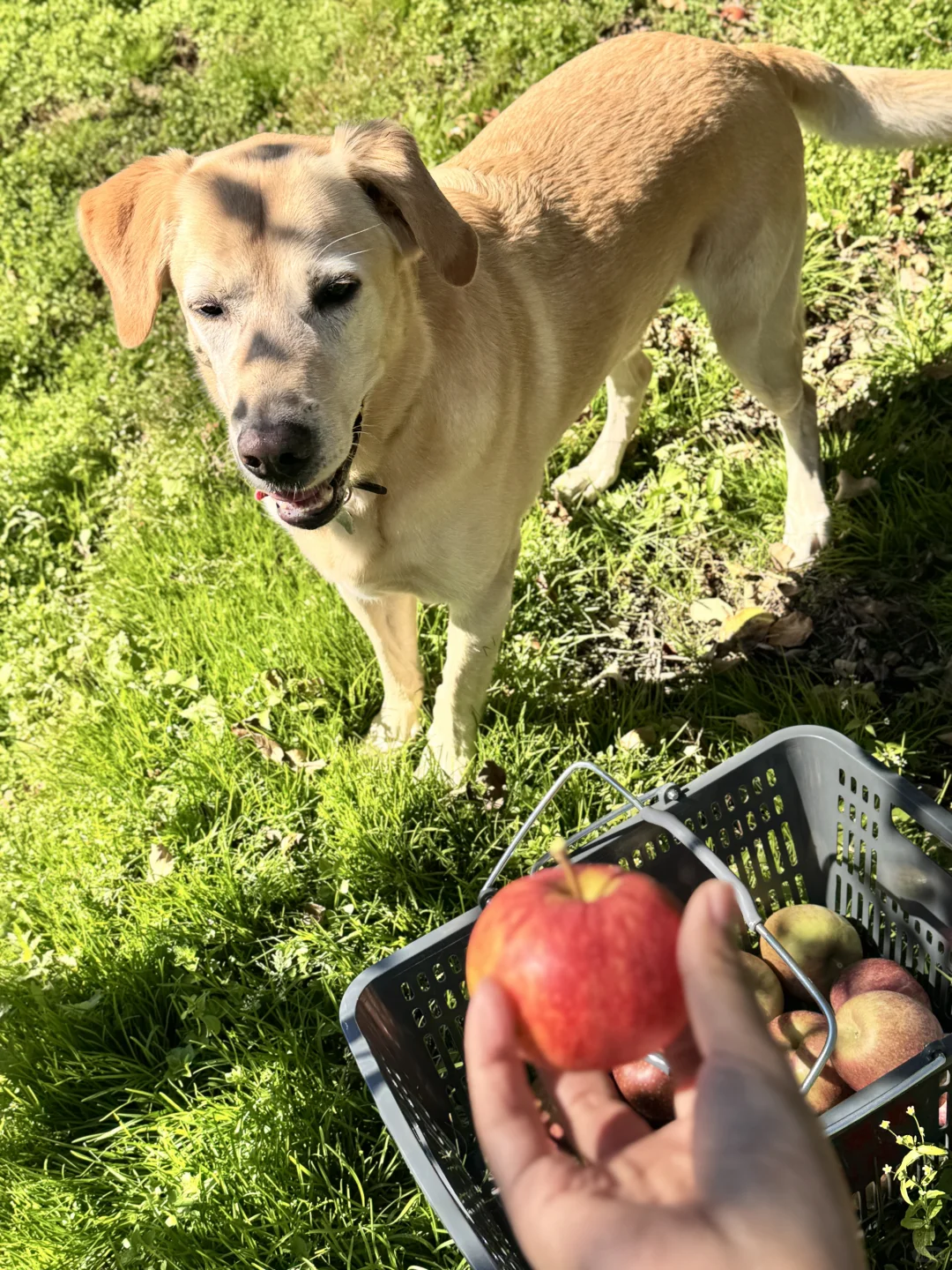 一辈子都是三农人