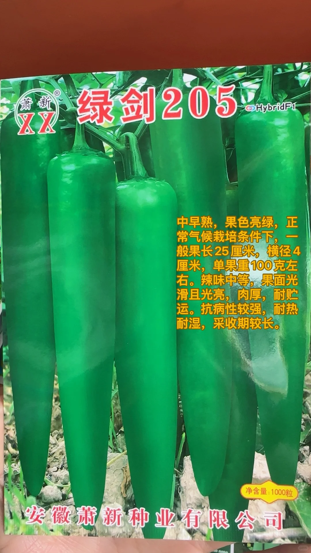 农的传人（农二代）