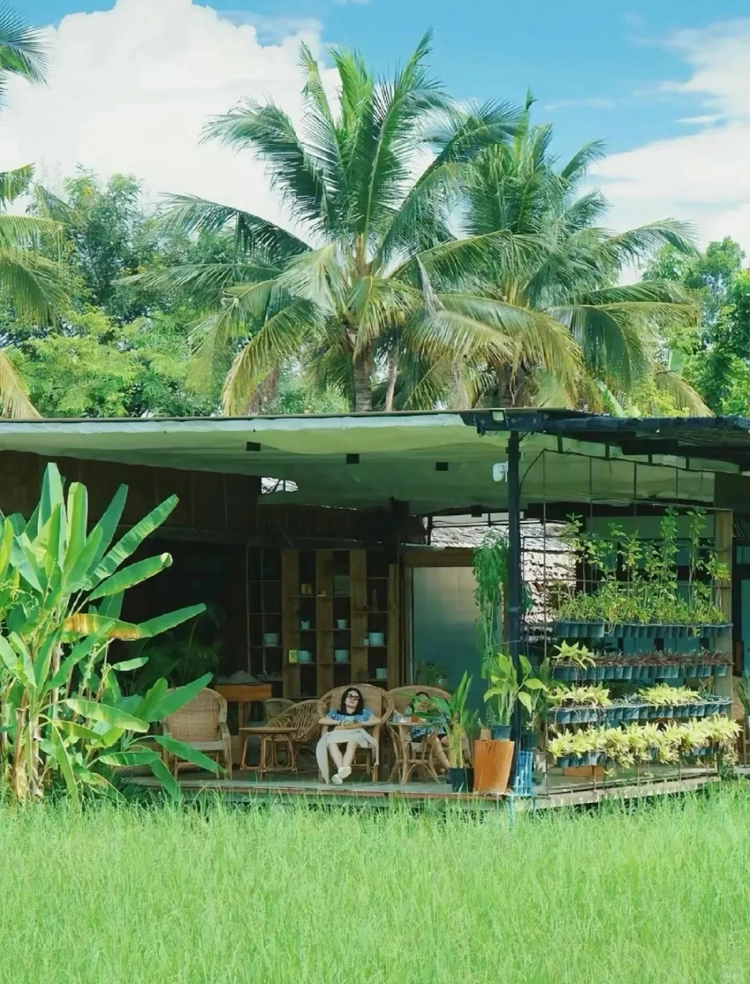 ? 乡村旅游新篇章：因地制宜，共赴美好